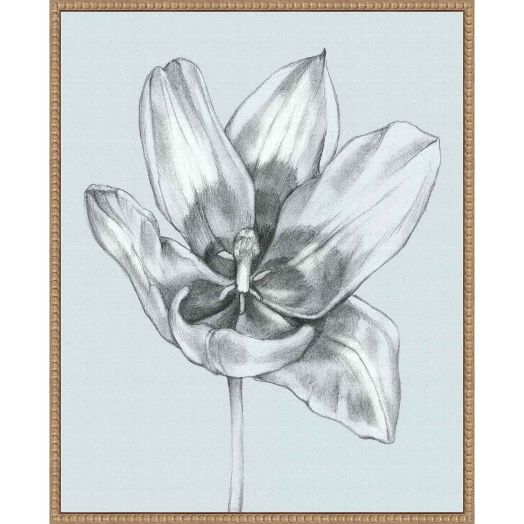 Silvery Blue Tulips No. 2 By Jennifer Goldberger 23 X 28 In. Framed Canvas Wall Art Print