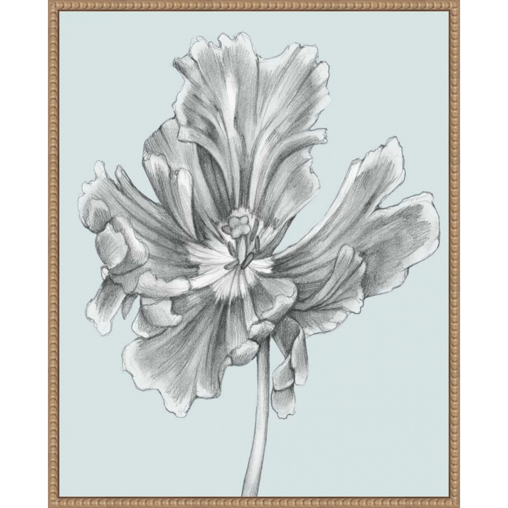 Silvery Blue Tulips No. 3 By Jennifer Goldberger 23 X 28 In. Framed Canvas Wall Art Print