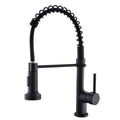 Single Handle One Hole Kitchen Faucets Pull Down Sprayer Spring