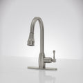 Single Handle Pull Down Sprayer Hot And Cold Kitchen Faucet 360 Spout Swivel With Deckplate