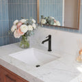 Single Hole Single Handle Bathroom Sink Faucet With Drain Assembly