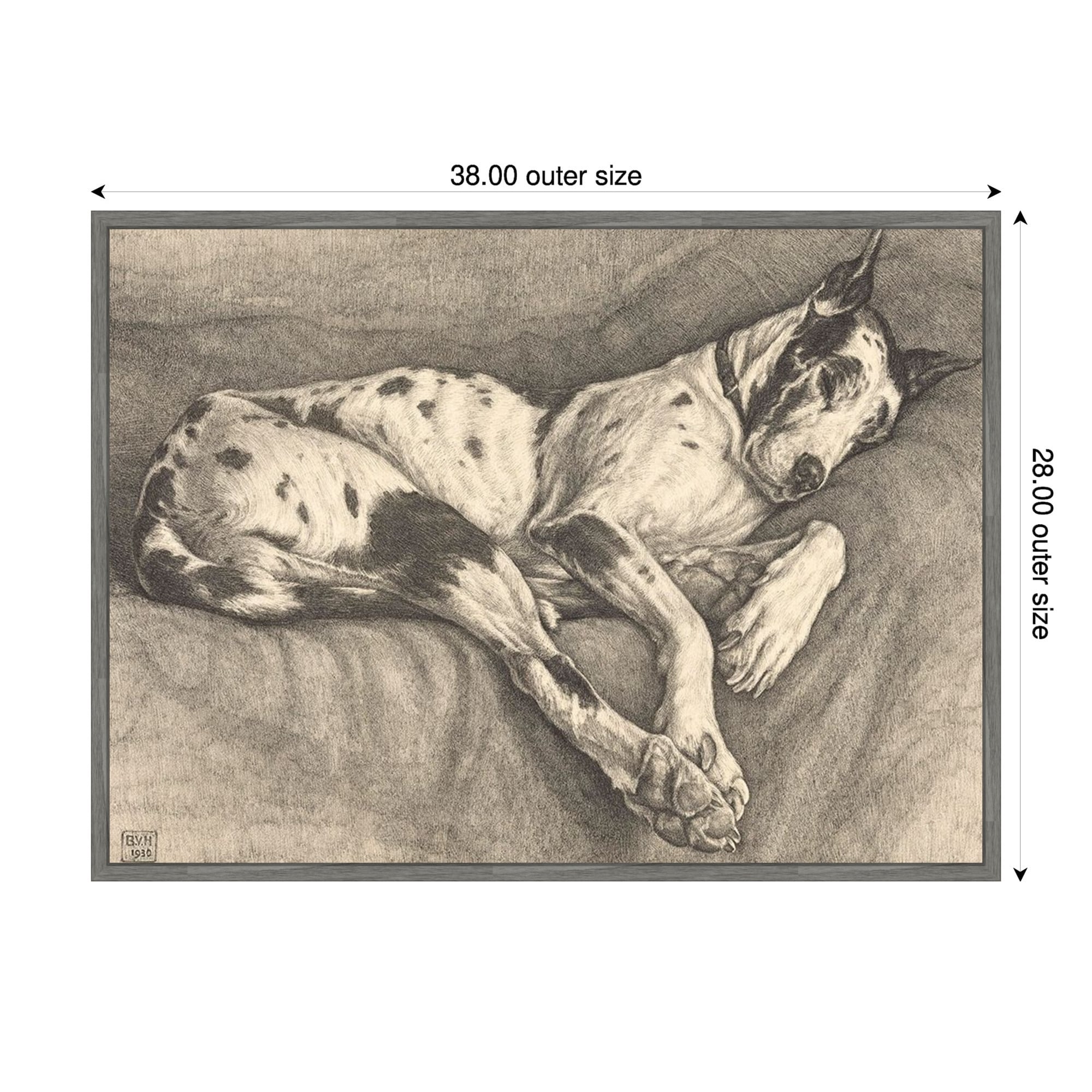 Sleeping Hound 1930 By Bertha Van Hasselt Framed Canvas Wall Art Print