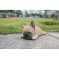 Sleeping Pug Puppy Statue