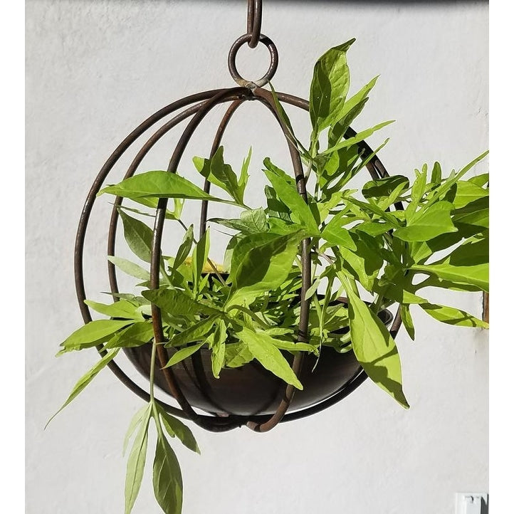 Small Hanging Globe Planter