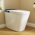 Smart Toilet With Bidet Auto Open Close Lid Dual Flush 1.28 0.9 Gpf Heated Seat Warm Air Dryer Deodorizer Etl Watersense