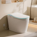 Smart Toilet With Bidet Heated Seat Auto Flush Warm Air Dryer Night Light One Piece Intelligent Toilet 220 Lbs Capacit