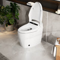 Smart Toilet With Heated Seat Warm Air Dryer Auto Flush One Piece Toilet With Night Light Self Cleaning Nozzle