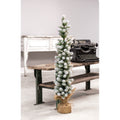 Snow Tipped Pine Tree 36