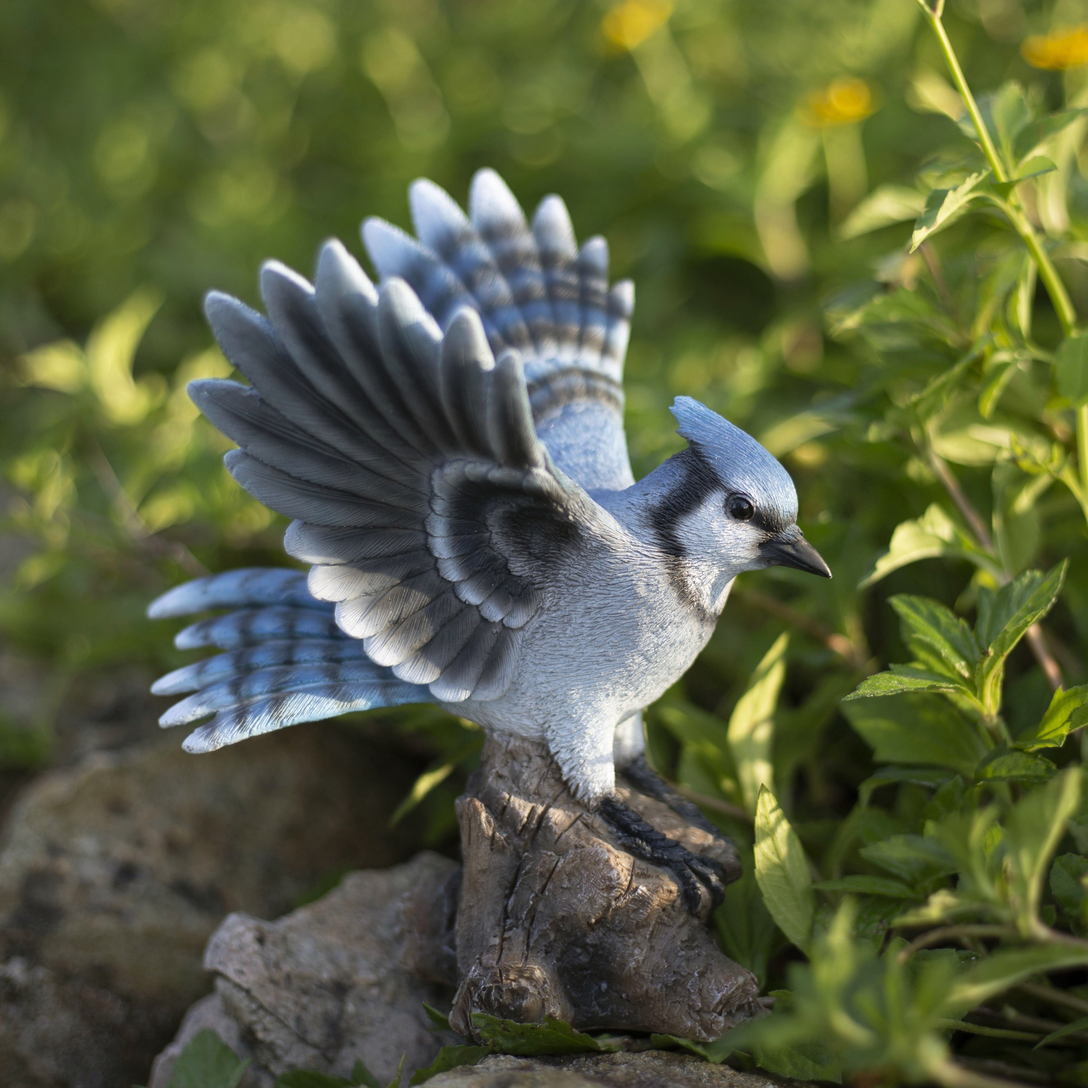 Soreal Blue Jay Wing Out On Stump