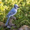 Soreal Blue Jay On Stump