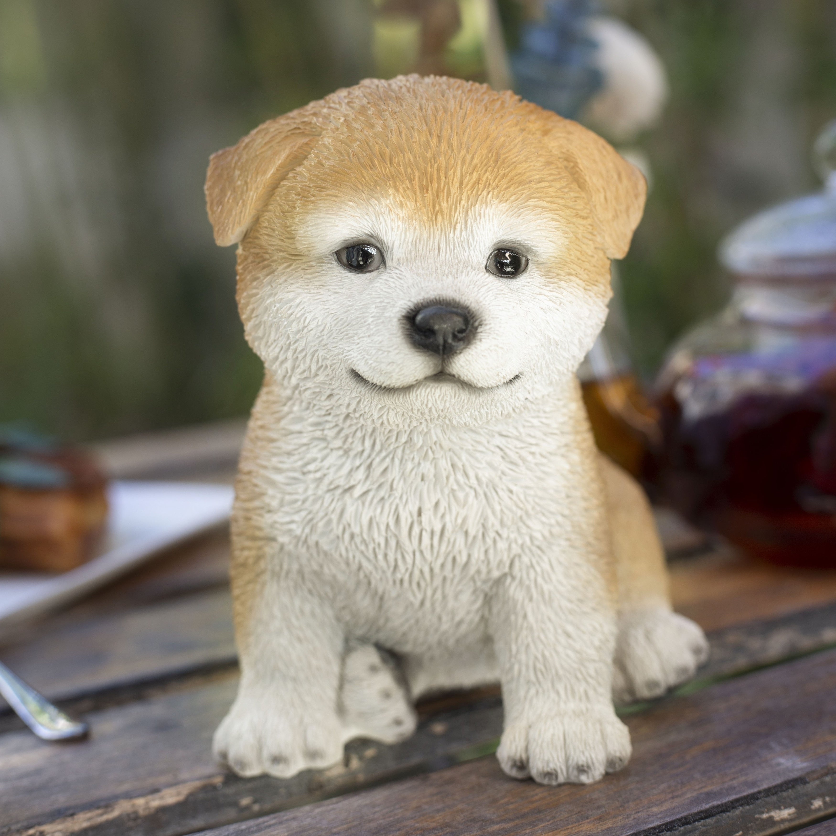 Soreal Brown Akita