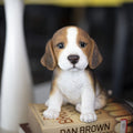 Soreal Brown Beagle Decorative Puppy Figurine For Home Garden D Cor Handpainted Polyresin Dog Statue