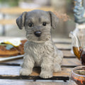 Soreal Grey Schnauzer Decorative Puppy Figurine For Home Garden D Cor Handpainted Polyresin Dog Statue
