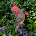 Soreal Red Cardinals On Branch
