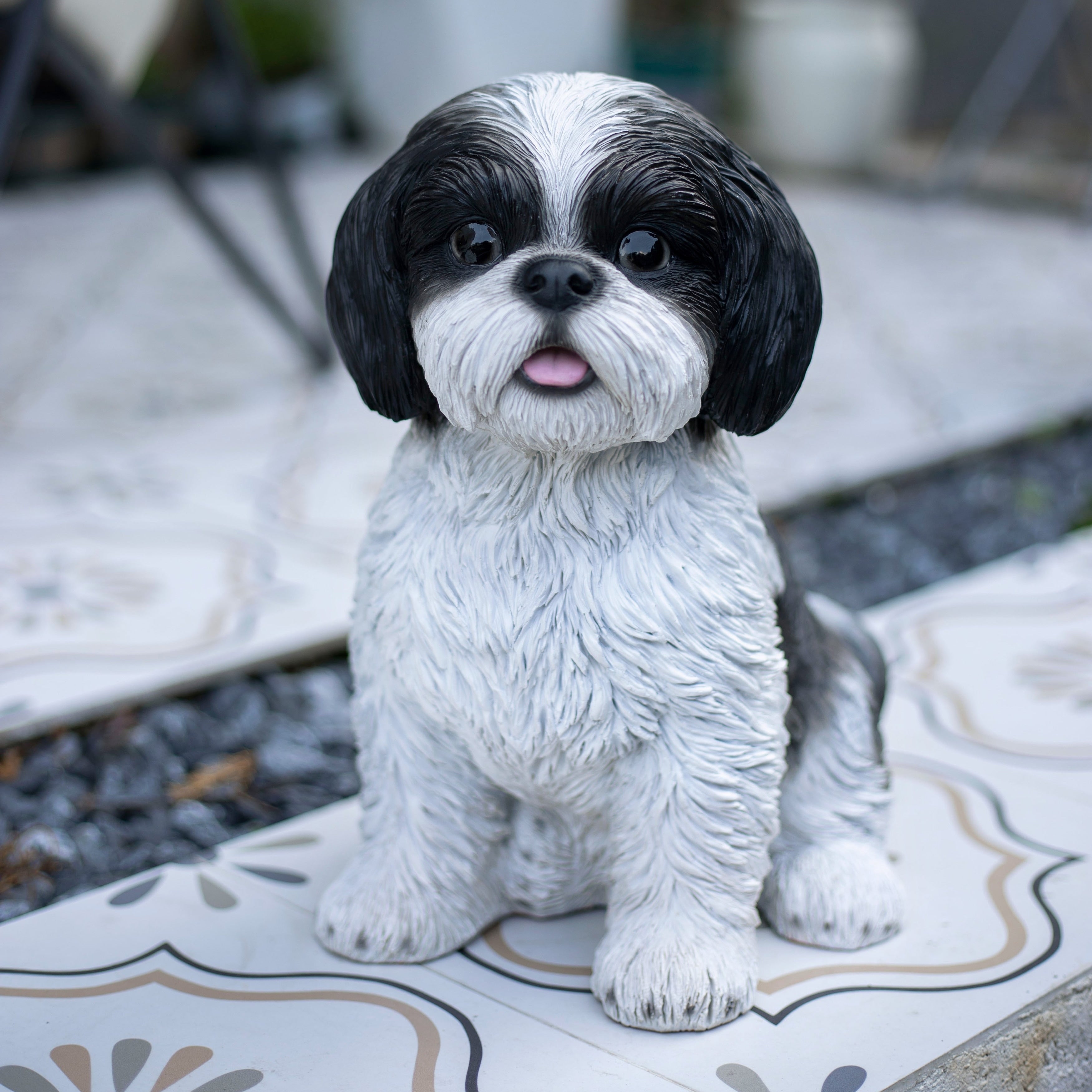 Soreal White Black Shih Tzu