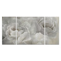Soft Peony Lace A Premium Multi Piece Art Available In 3 Sizes