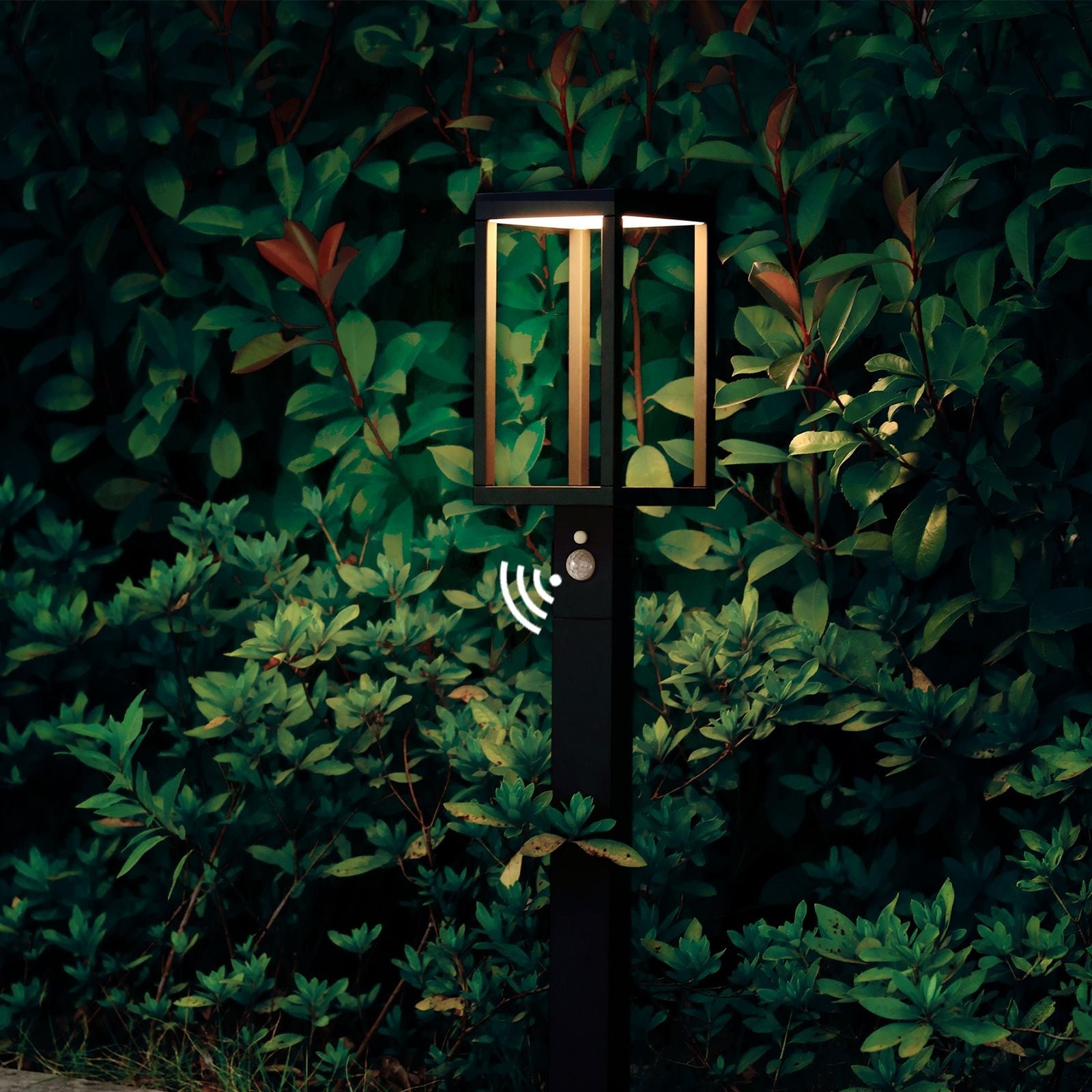 Solar Outdoor Light Pathway Dusk To Dawn Garden Lighting