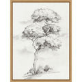 Solitary Tree In Gentle Breeze Ii By Luna Mavis Framed Canvas Wall Art