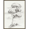 Solitary Tree In Gentle Breeze Ii By Luna Mavis Framed Mounted Canvas Wall Art Print