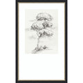 Solitary Tree In Gentle Breeze Ii By Luna Mavis Wood Framed Wall Art Print