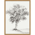 Solitary Tree In Gentle Breeze Iii By Luna Mavis Framed Canvas Wall Art