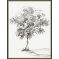 Solitary Tree In Gentle Breeze Iii By Luna Mavis Framed Mounted Canvas Wall Art Print
