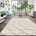 Soller Geometric Shag Area Rug