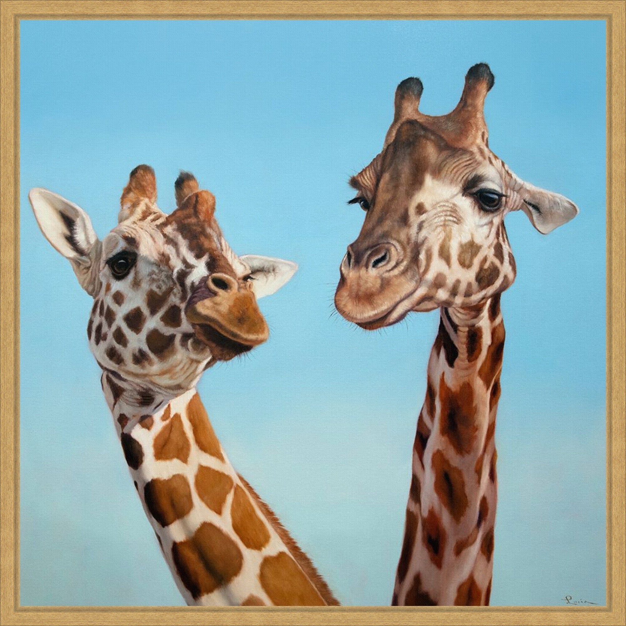 Soulmate Iv By Lucia Heffernan Framed Canvas Wall Art Print
