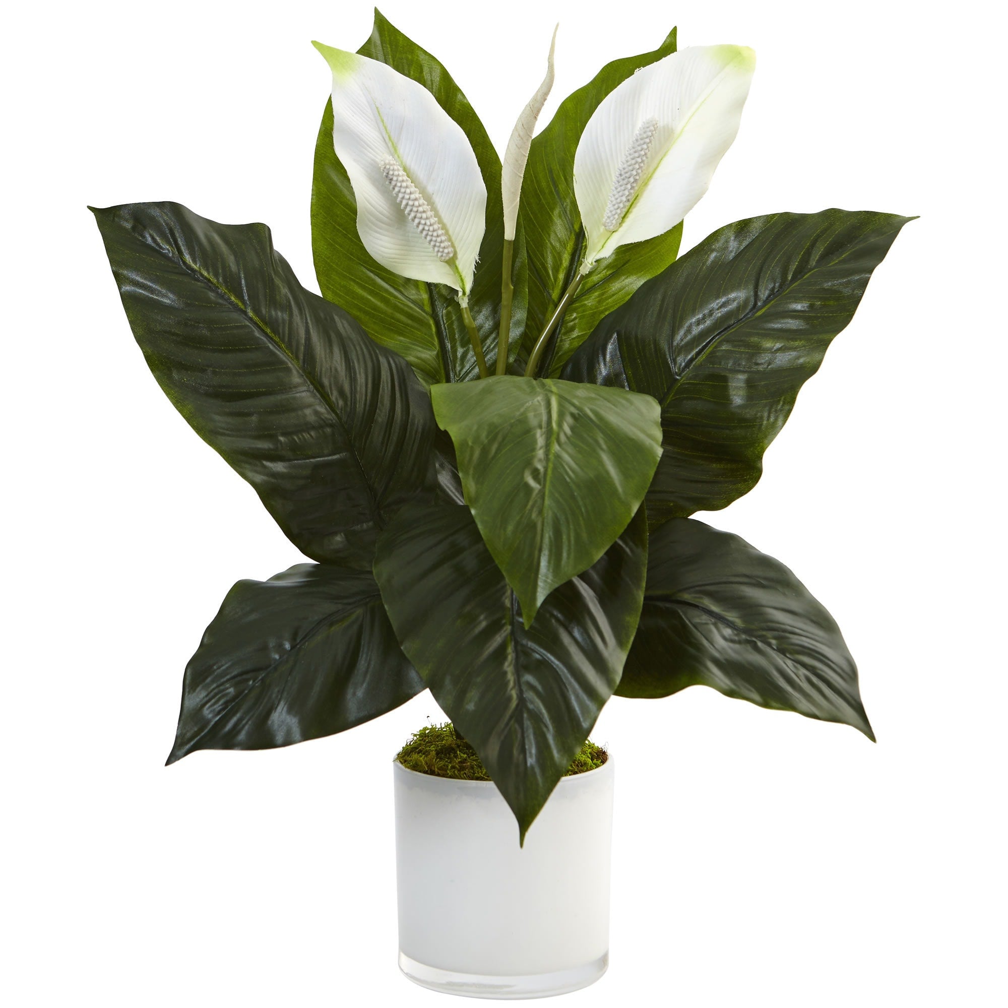 Nearly Natural Silk Artificial Spathifyllum In Glossy Glass Planter