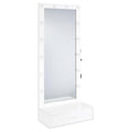 Spector 1 Drawer Lighted Full Length Floor Mirror