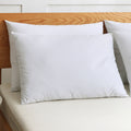 St. James Home Cotton Silver Goose Nano Feather Pillows Set Of 2 White