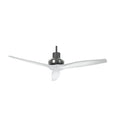 Carson Carrington Idala 52 Inch Graphite Motor Indoor Outdoor Ceiling Fan