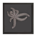 Star Fish Framed Art