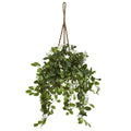 Nearly Natural Stephanotis In Hanging Basket