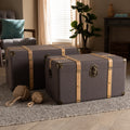 Carbon Loft Schaca Modern And Contemporary Transitional 2 Piece Storage Trunk Set