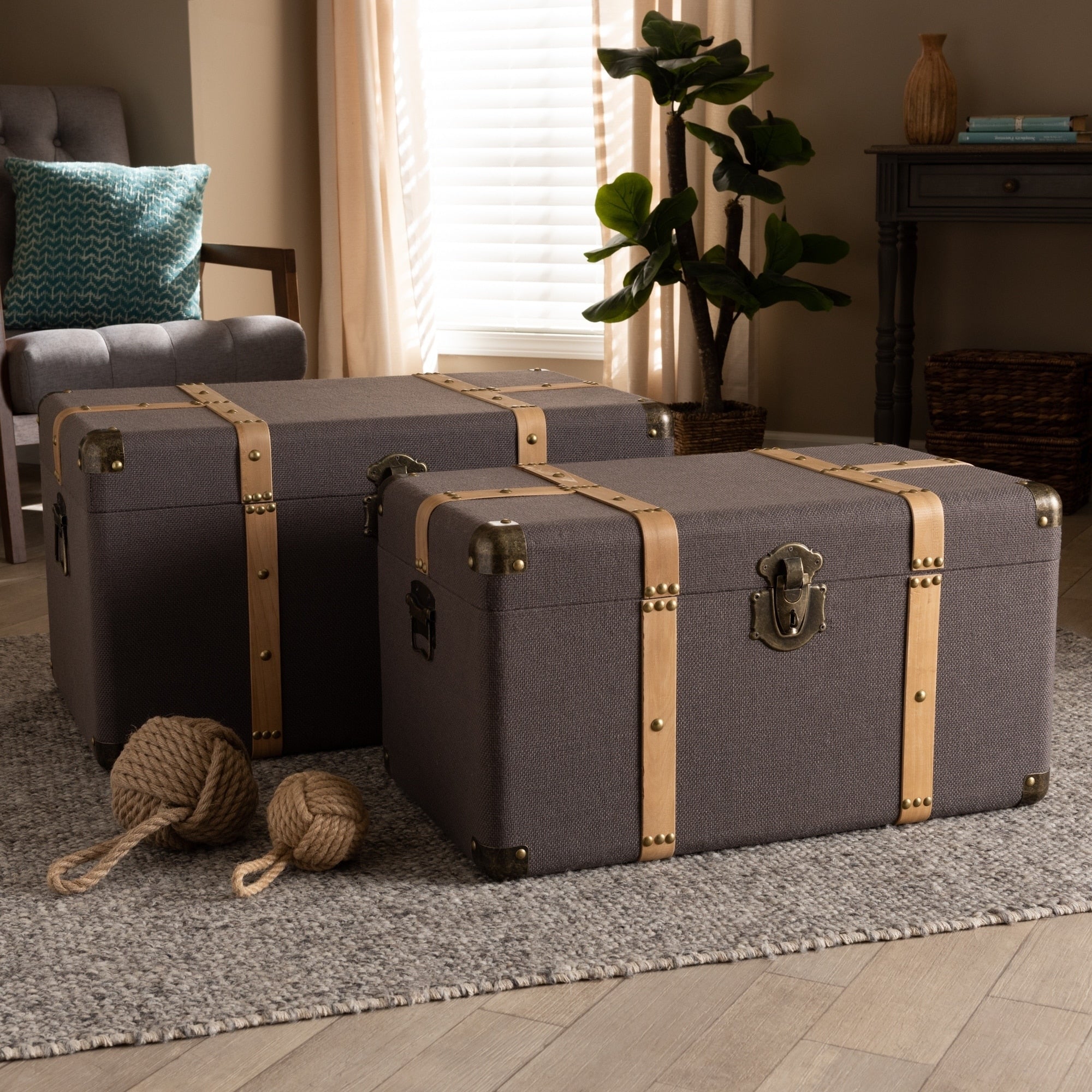 Carbon Loft Schaca Modern And Contemporary Transitional 2 Piece Storage Trunk Set