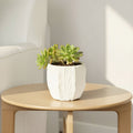 Stoneware Organic Shaped Planter With Reactive Glaze 5.5 L X 5.5 W X 4.63 H