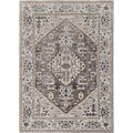 Strick Bolton Renew Traditional Medallion Area Rug.