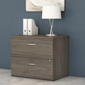 Studio C 2 Drawer Lateral File Cabinet By Bush Business Furniture