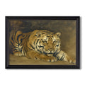 Study Of A Tiger For Circe 1885 John Collier Custom Framed Canvas