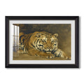 Study Of A Tiger For Circe 1885 John Collier Custom Framed Print