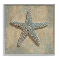 Stupell Industries Starfish Beach Objects Design 12 X 12 Framed Wall Art