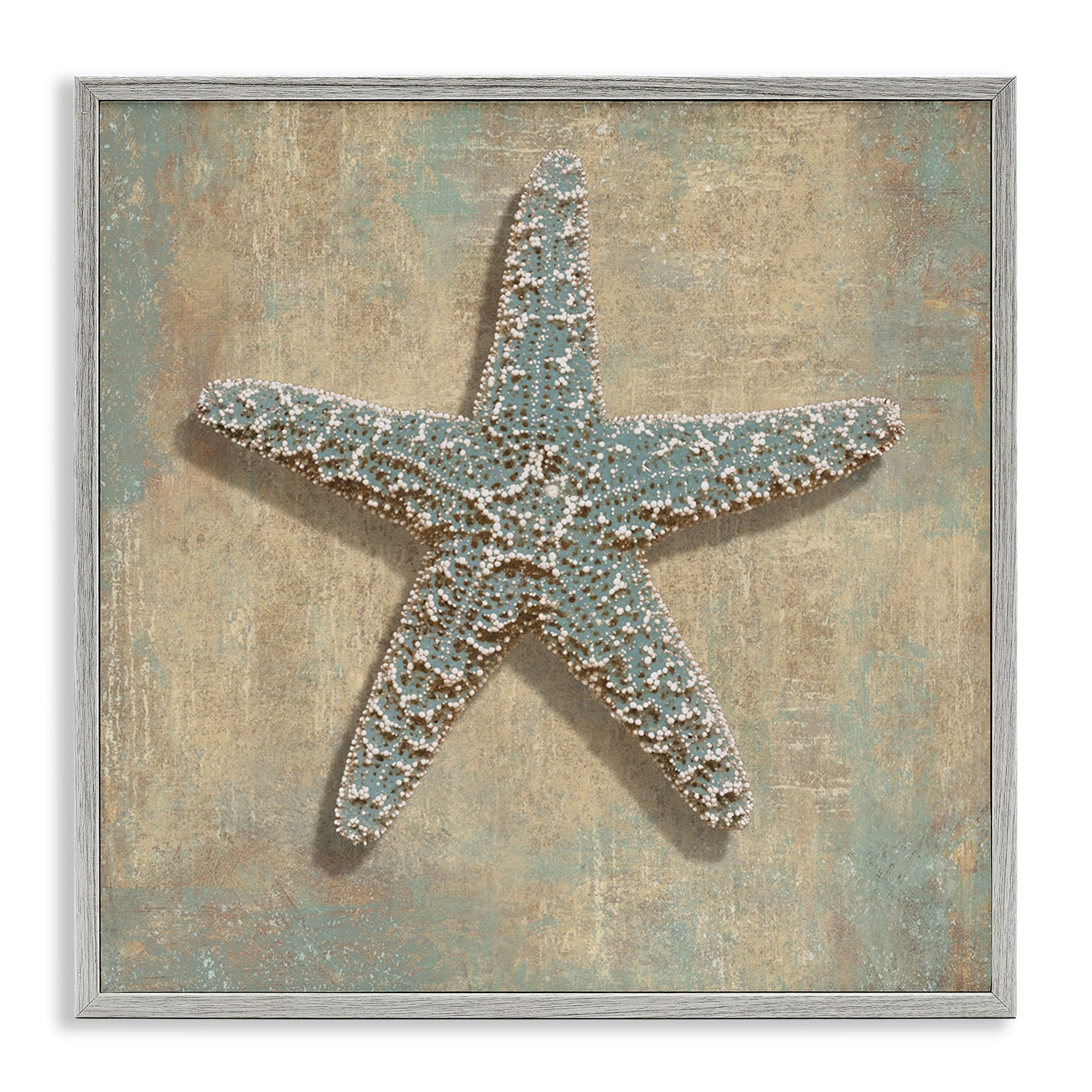 Stupell Industries Starfish Beach Objects Design 12 X 12 Framed Wall Art