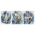 Stupell Industries Trio Of Shell Coral Blue Beach Design Canvas Wall Art