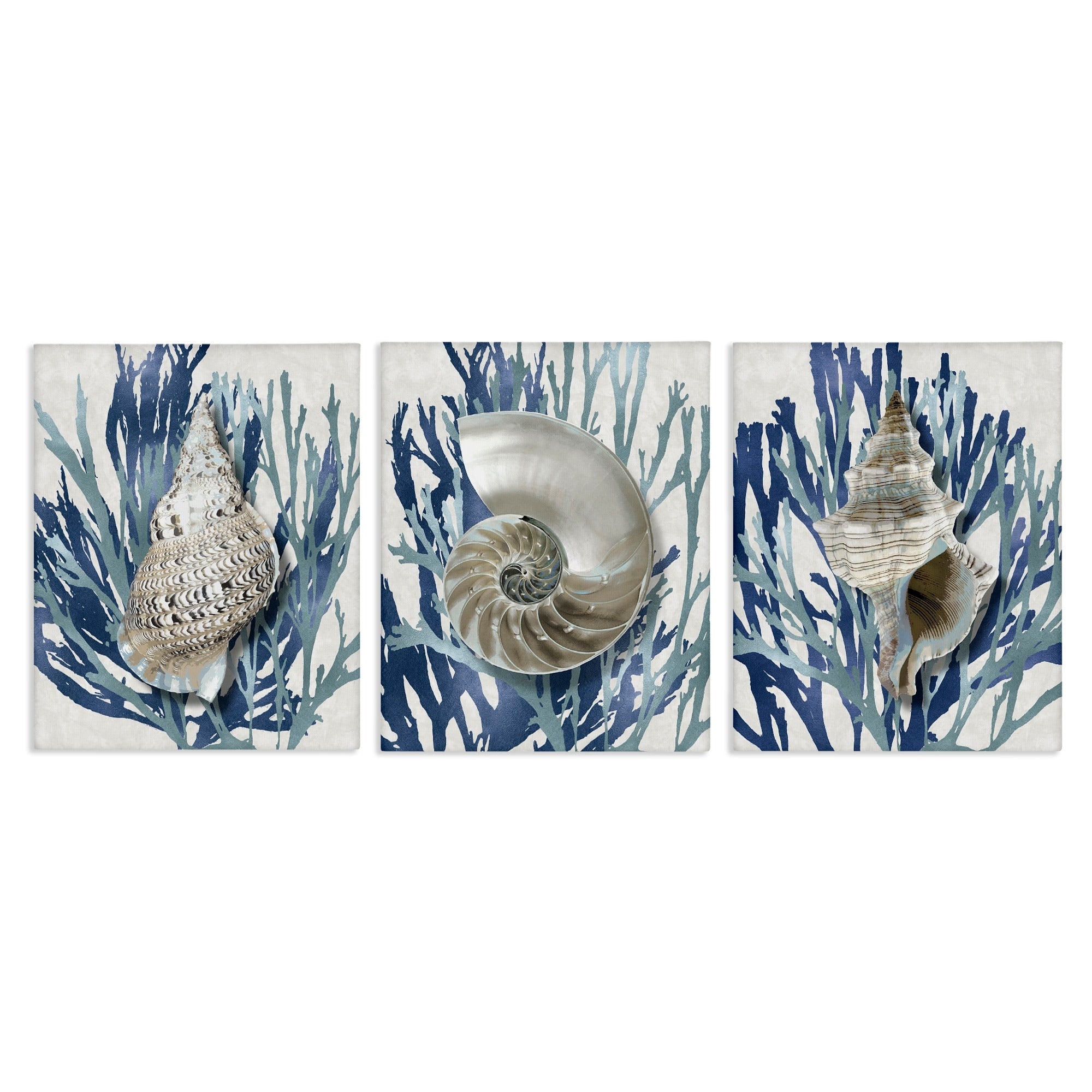 Stupell Industries Trio Of Shell Coral Blue Beach Design Canvas Wall Art