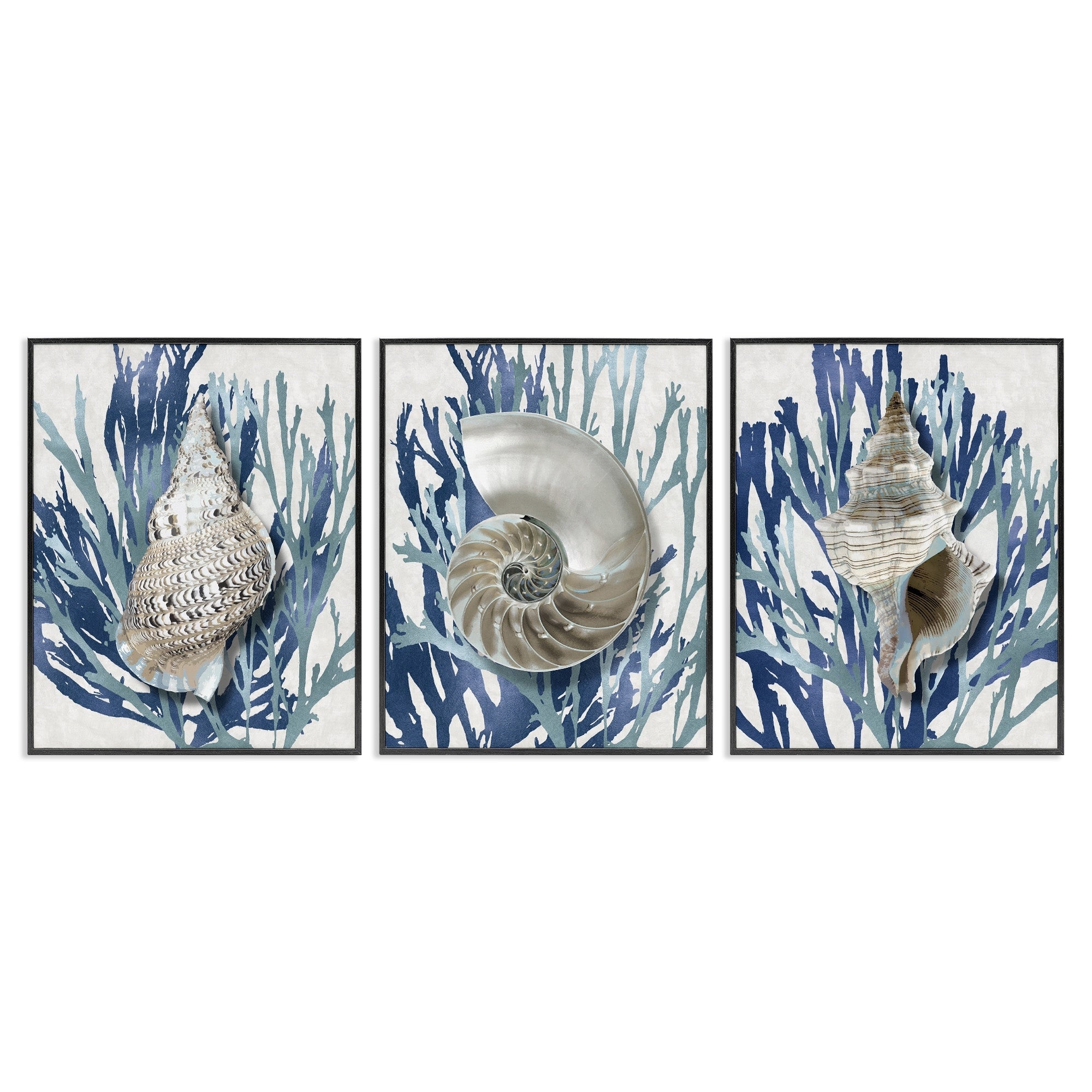 Stupell Industries Trio Of Shell Coral Blue Beach Design Framed Wall Art