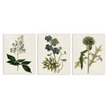 Stupell Industries Vintage Blue Botanical Flowers On Beige Canvas Wall Art