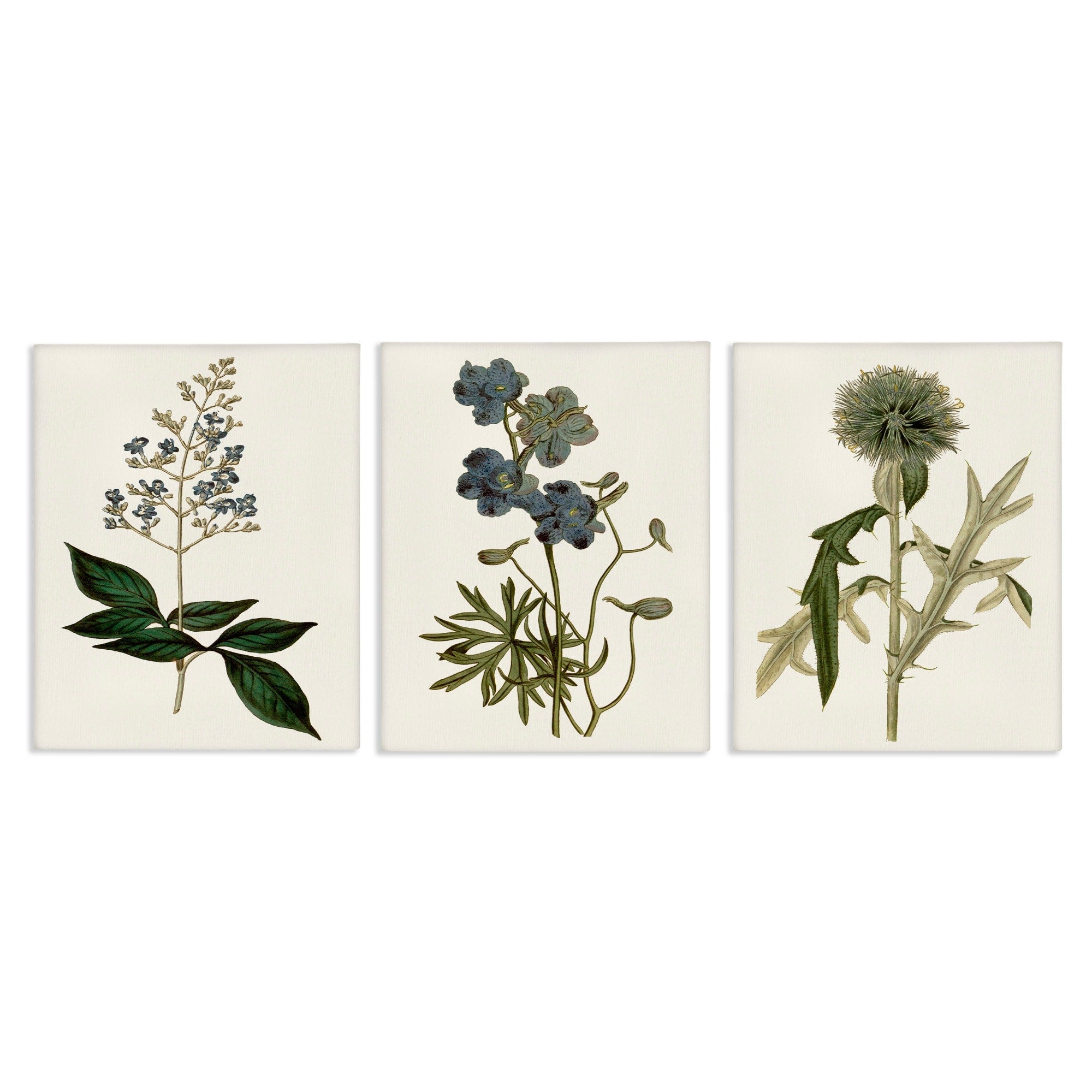 Stupell Industries Vintage Blue Botanical Flowers On Beige Canvas Wall Art