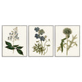 Stupell Industries Vintage Blue Botanical Flowers On Beige Framed Wall Art