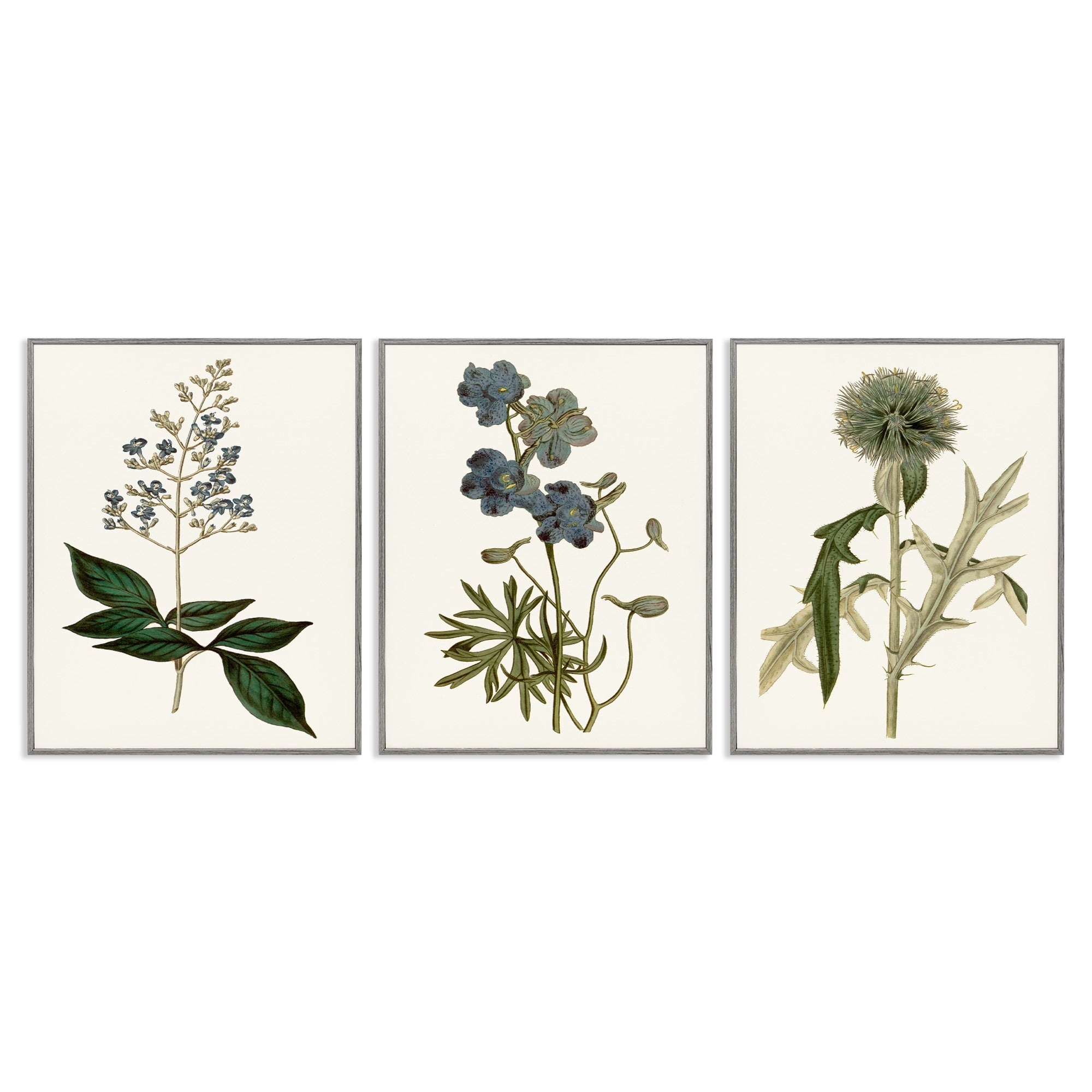 Stupell Industries Vintage Blue Botanical Flowers On Beige Framed Wall Art